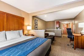 Comfort Inn & Suites Airport - American Way